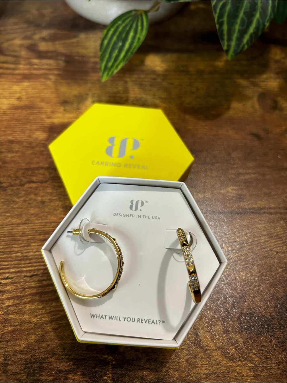 Bomb Party OG Gold & Diamond CZ Hope Earrings